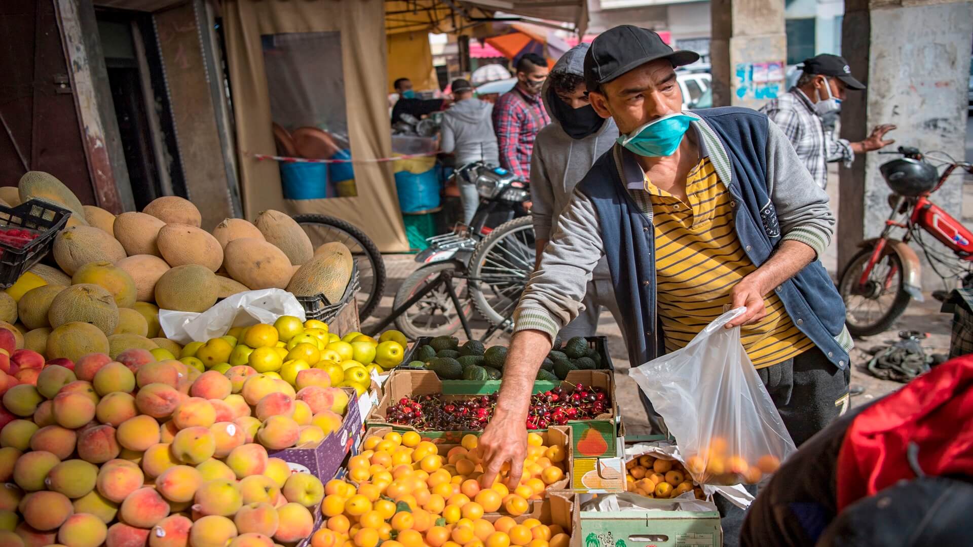الفاو: أسعار الغذاء في العالم تشهد تراجعا كبيرا تجاوز 13 نقطة